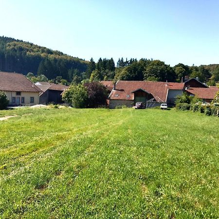 Gite Le Geleinfete II Vosges A Proximite De Gerardmer Herpelmont Ngoại thất bức ảnh
